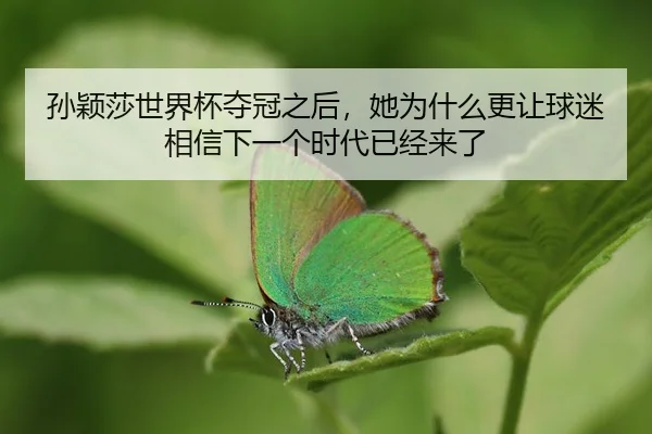 sun-ying-sha-shi-jie-bei-duo-guan-zhi-hou-ta-wei-shen-me-geng-rang-qiu-mi-xiang-xin-xia-yi-ge-shi-dai-yi-jing-lai-le-2-432.jpg